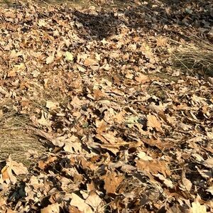 gloria’s bundle don’t buy!